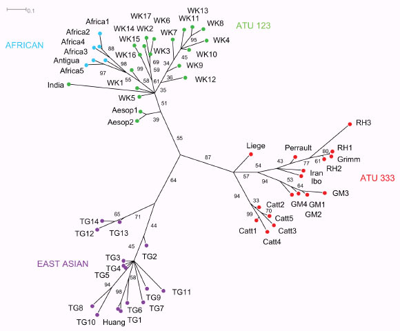 This image shows a maximum clade credibility tree returned by the Bayesian phylogenetic analysis of the folktales. Major groupings are labeled by region and/or ATU international type and indicated by the colored nodes. Numbers beside the edges represent the percentage of trees in the Bayesian posterior distribution of trees in which a given node occurred. The scale bar indicates the average number of changes per character along a given edge. Sub-types are indicated in the taxa labels: RH - Little Red Riding Hood, GM - Story of Grandmother, Catt – Catterinella, WK - the Wolf and the Kids, TG - Tiger Grandmother. Image credit: Tehrani JJ.