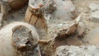 These jars were unearthed in a palace in the Canaanite city of Tel Kabri. Image credit: Eric Cline / George Washington University.