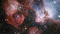This image shows the emission nebula NGC 2035 in Large Magellanic Cloud. Image credit: ESO.