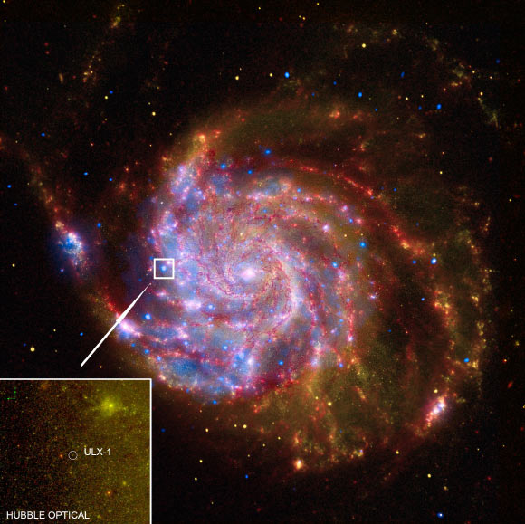 This image shows ULX-1 near a spiral arm of the galaxy Messier 101. Image credit: Chandra X-ray Observatory / Spitzer Satellite / Hubble Space Telescope / GALEX Satellite.