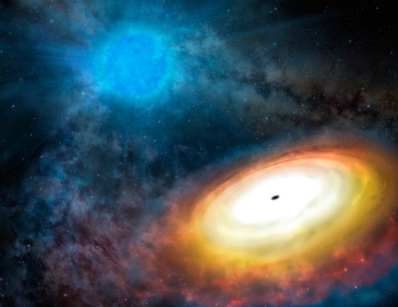 This is an artist's impression of the environment around M101 ULX-1, showing a stellar-mass black hole, in foreground, with accretion disk; gas from the Wolf-Rayet star, in background, feeds the black hole's voracious appetite. Image credit: Lynette Cook / Gemini Observatory / AURA.