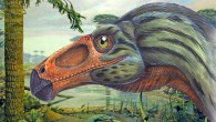 Erlikosaurus andrewsi. Image credit: Dinosaur-world.com.