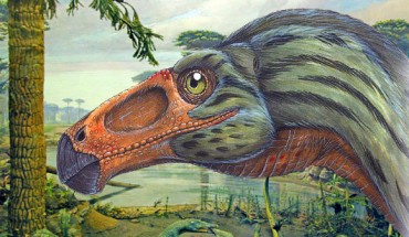 Erlikosaurus andrewsi. Image credit: Dinosaur-world.com.