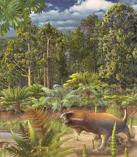 Niassodon mfumukasi. Image credit: Fernando Correia, dbio / UAveiro.