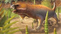 Niassodon mfumukasi. Image credit: Fernando Correia, dbio / UAveiro.