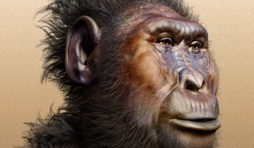 A forensic facial reconstruction of Paranthropus boisei. Image credit: Cicero Moraes / CC BY-SA 3.0.