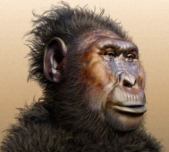 A forensic facial reconstruction of Paranthropus boisei. Image credit: Cicero Moraes / CC BY-SA 3.0.