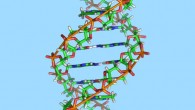 This image shows the structure a DNA molecule. Image credit: Richard Wheeler / CC BY-SA 3.0.