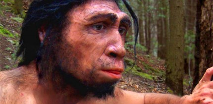 This is an artist's reconstruction of Homo erectus. Image credit: Yale University.