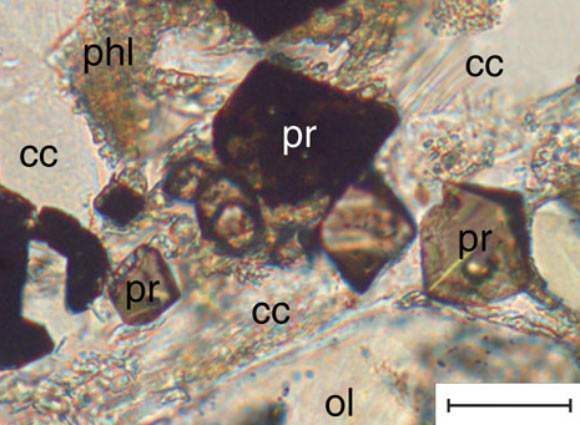 This is a plain light photomicrograph of the Antarctic kimberlites showing porphyritic texture and olivine alignment: olivine (ol) crystals are set in a fine- to coarse-grained groundmass, consisting of phlogopite (phl), calcite (cc), perovskite (pr), apatite and magnetite. Scale bar is 20 μm. Image credit: Gregory M. Yaxley et al.