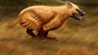 Life reconstruction of a pair of Chasmaporthetes gangsriensis. Image credit: Julie Selan.