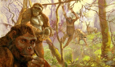 Ardipithecus ramidus, a hominid that lived in Africa more then 4 million years ago. Illustration by Arturo Asensio, via Quo.es.