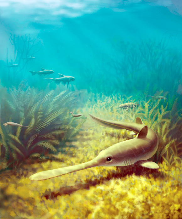 This is an artist's impression of Bandringa shark. Image credit: John Megahan / University of Michigan.