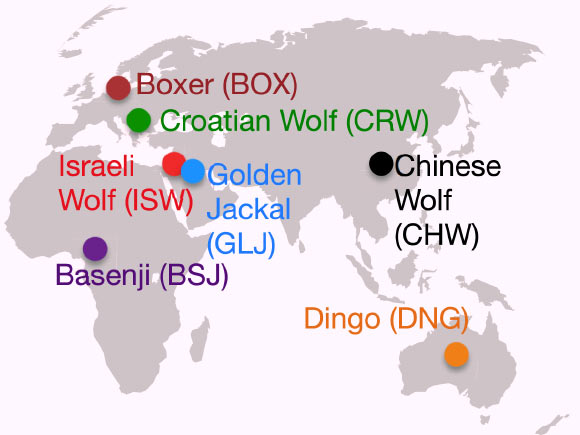 Geographic distribution of sampled lineages. Image credit: Freedman AH et al.