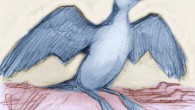 This is an artist's impression of Australornis lovei. Image credit: Derek Onley.