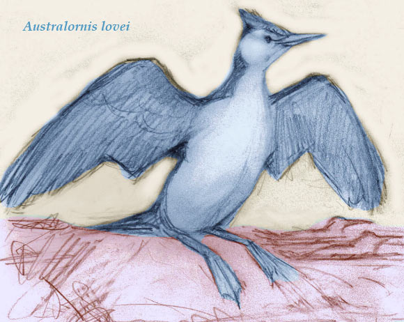 This is an artist's impression of Australornis lovei. Image credit: Derek Onley.