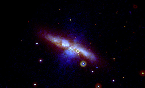 The Ultraviolet-Optical Telescope aboard Swift captured SN 2014J, circled, on January 22, 2014. Image credit: NASA / Swift / P. Brown, TAMU.