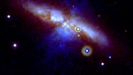 The Ultraviolet-Optical Telescope aboard Swift captured SN 2014J, circled, on January 22, 2014. Image credit: NASA / Swift / P. Brown, TAMU.