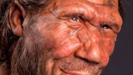 Neanderthal. Image credit: Trustees of the Natural History Museum, London.