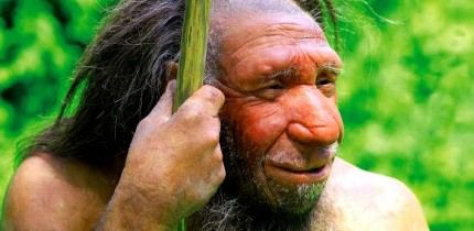Neanderthal. Image credit: Neanderthal Museum.