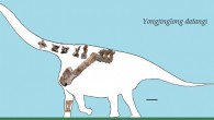 Reconstruction of Yongjinglong datangi. Scale bar - 60 cm. Image credit: Li L-G et al.