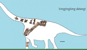Reconstruction of Yongjinglong datangi. Scale bar - 60 cm. Image credit: Li L-G et al.