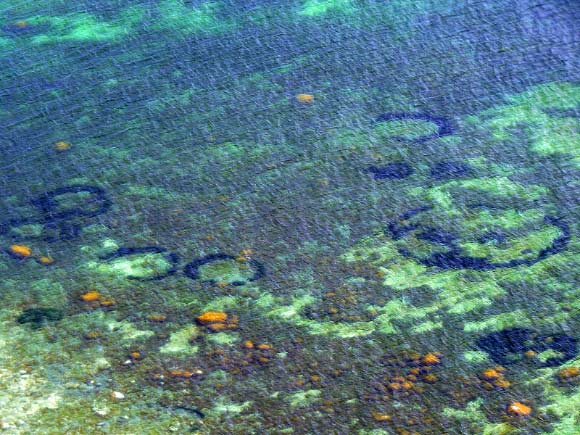 This image shows mysterious 'crop circles' on the seabed off the Island of Møn, Denmark. Image credit: Jacob Topsøe Johansen.
