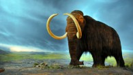 This is an artist’s rendition of a woolly mammoth. Image credit: Flying Puffin / CC BY-SA 2.0.