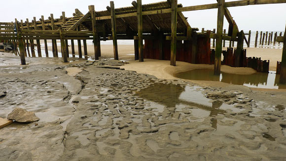 Human footprints, thought to be more than 800,000 years old, discovered at Happisburgh, England. Image credit: Simon Parfitt.