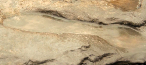 800,000-year-old human footprint. Image credit: British Museum.