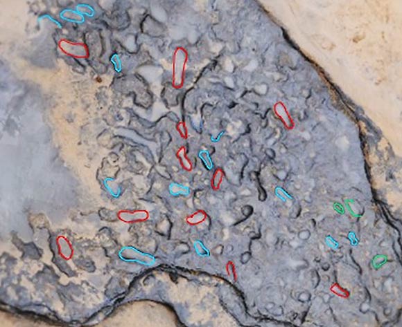 Model of footprint surface generated from photogrammetric survey. Image credit: Sarah Duffy / York University.