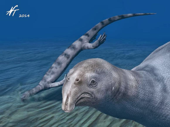This is an artist's impression of Atopodentatus unicus. Image credit: © Nobu Tamura, 2014 (spinops.blogspot.com).