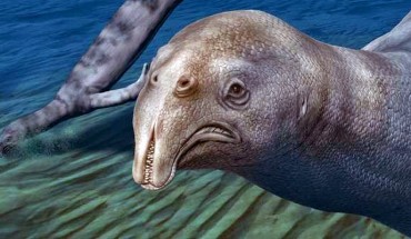 This is an artist's impression of Atopodentatus unicus. Image credit: © Nobu Tamura, 2014 (spinops.blogspot.com).
