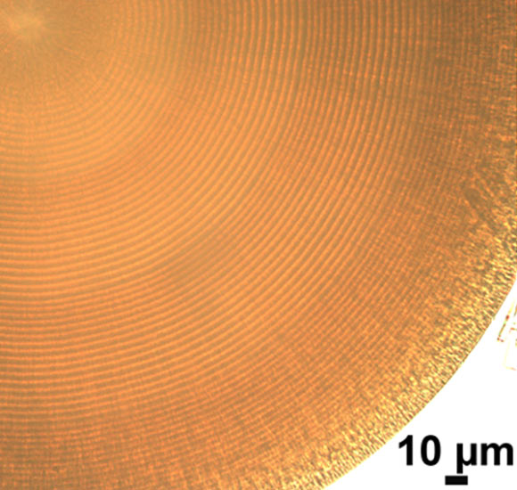 Magnesium carbonate microhemisphere synthesized under passively produced temperature oscillation conditions. Image credit: Shihong Li et al.