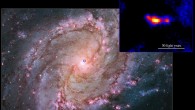 Nearby spiral galaxy M83 and the MQ1 system with jets, as seen by the Hubble Space Telescope. The blue circle marks the position of the MQ1 system in the galaxy, shown inset. Credit: M83 – NASA / ESA / Hubble Heritage Team / WFC3 / UVIS / STScI-PRC14-04a; MQ1 inset - W. P. Blair, Johns Hopkins University / R. Soria, ICRAR-Curtin.