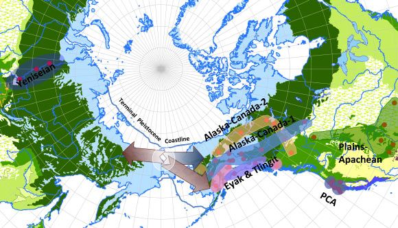 This polar projection map of Asia and North America shows the approximate terminal Pleistocene shoreline: the center of geographic distribution of Yeniseian and Na-Dene language is in Beringia; from this center burgundy arrows extend toward the North American coast and into Siberia; a blue arrow indicates Interior dispersals of Na-Dene. Image credit: Mark Sicoli / Gary Holton.