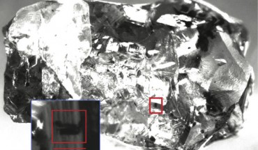 Top: monochrome image of USD 20 diamond taken under incident light, with the ringwoodite inclusion highlighted by a red square. Bottom: enlarged view of the area of the host diamond containing the ringwoodite inclusion; the shadow behind the rectangular area outlining the inclusion is probably a stress fracture in the diamond. Image credit: D.G. Pearson et al.