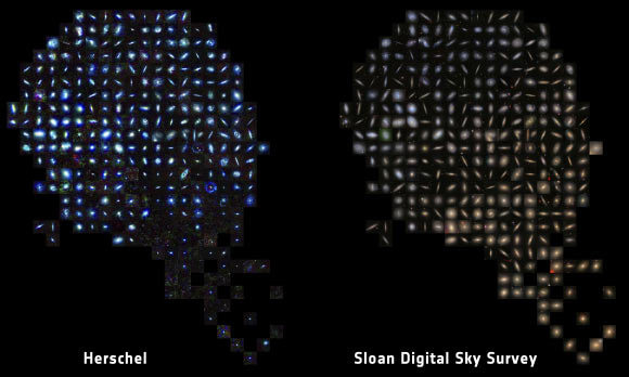 Collage of galaxies in the Herschel Reference Survey at infrared/submillimeter wavelengths by Herschel, left, and at visible wavelengths from the Sloan Digital Sky Survey, right. The Herschel image is colored with blue representing cold dust and red representing warm dust; the SDSS image shows young stars in blue and old stars in red. Together, the observations plot young, dust-rich spiral/irregular galaxies in the top left, with giant dust-poor elliptical galaxies in the bottom right. Image credit: ESA / Herschel / HRS-SAG2 / HeViCS Key Programmes / Sloan Digital Sky Survey / L. Cortese, Swinburne University.