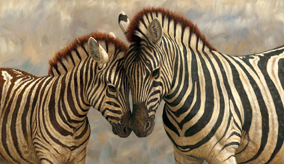 Zebra with young. Painting by Robert E Fuller.