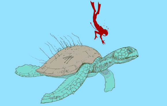 In this illustration, Atlantochelys mortoni is depicted with the outline of a human diver to indicate scale. Image credit: Jason Poole / Academy of Natural Sciences of Drexel University / Sci-News.com.