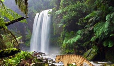 Nimbacinus dicksoni. Image credit: Anne Musser. Background: Hopetoun Falls in Victoria, Australia. Image credit: David Iliff / CC-BY-SA 3.0.