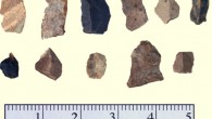 Stone tools recovered from the Drop 45 Drive Lane. Image credit: O’Shea JM et al.