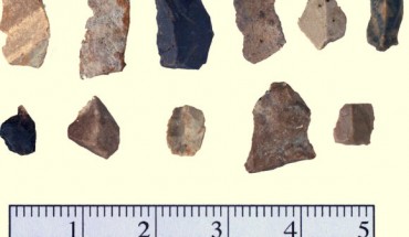 Stone tools recovered from the Drop 45 Drive Lane. Image credit: O’Shea JM et al.