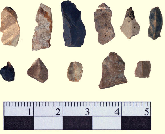Stone tools recovered from the Drop 45 Drive Lane. Image credit: O’Shea JM et al.