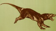 This image shows Arctodictis sinclairi. It belonged to the same order of mammals as the newly discovered Bolivian species. Image credit: Analia M. Forasiepi.