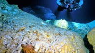 Cave diver inspects the skull of Naia, a 12,500-year-old teenage girl discovered in a submerged cave on the Yucatan peninsula of Mexico. Image credit: Daniel Riordan Araujo.