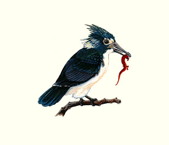 This early bird, Longipteryx, lived during the early Cretaceous period approximately 120 million years ago. Image credit: Allison Elaine Johnson.