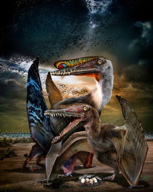 Life restoration of Hamipterus tianshanensis. Image credit: Chuang Zhao.