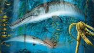 Artistic reconstruction of Herpetocetus morrowi in the late Pliocene Pacific Ocean off southern California. The fish depicted in the upper left is a sheephead, Semicossyphus sp. Image credit: Robert Boessenecker.
