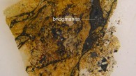 This image shows a fragment of the 4.5 billion-year-old Tenham meteorite that contains tiny crystals of bridgmanite. Image credit: Chi Ma.